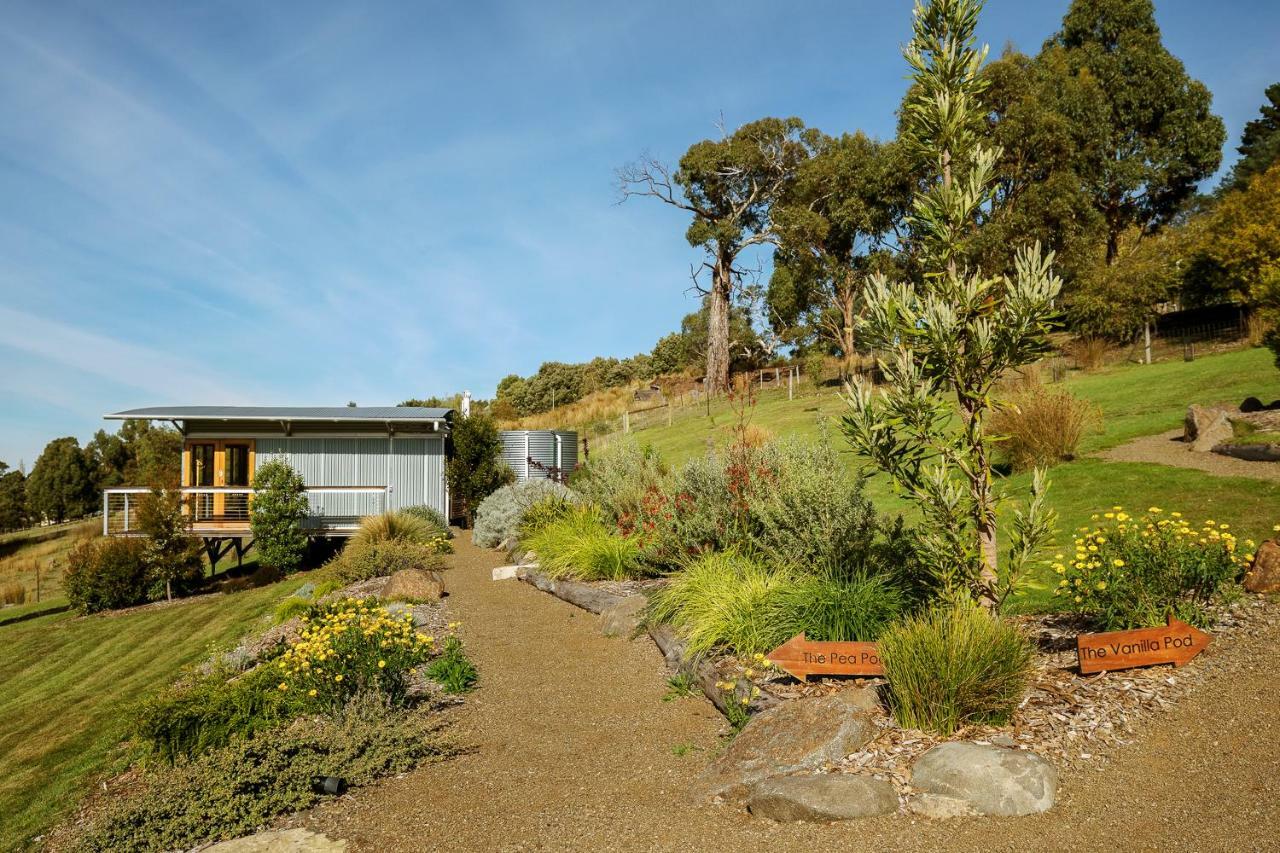 キングストン Hobart Hideaway Pods Bed & Breakfast エクステリア 写真